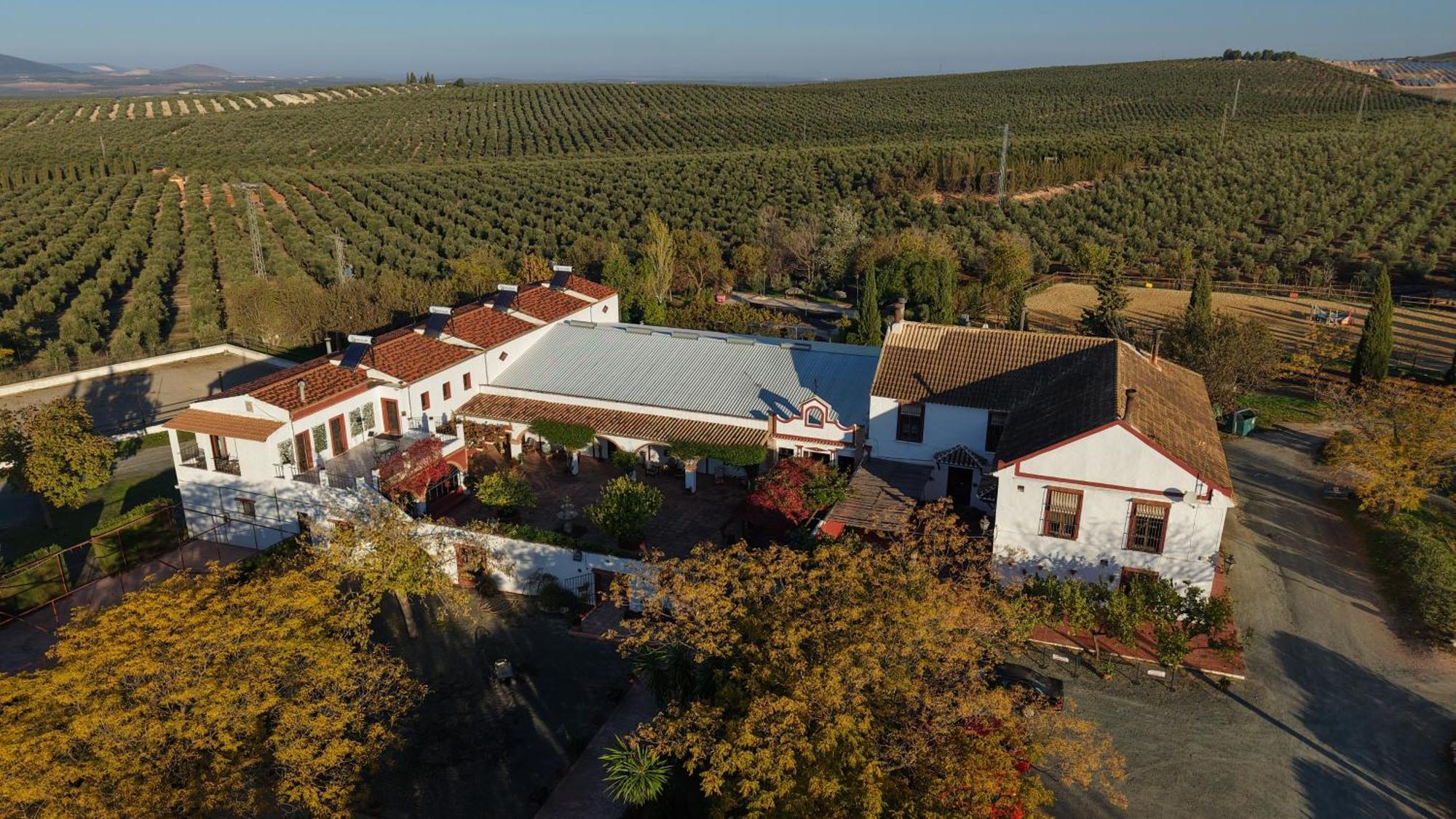 Cortijo Carrillo Bed and Breakfast Cartaojal Εξωτερικό φωτογραφία